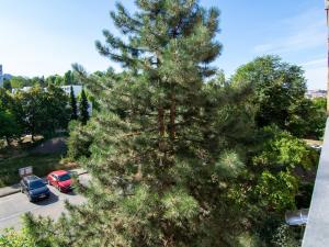 Prodej bytu 3+kk, Praha - Michle, Ohradní, 69 m2