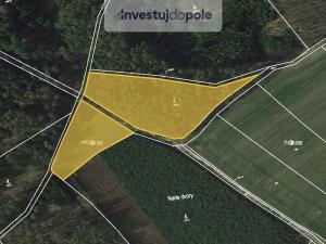 Prodej lesa, Hrazany - Klisinec, 2460 m2