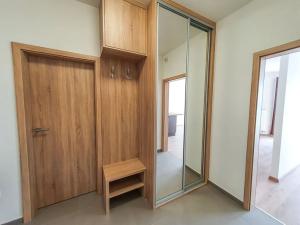 Pronájem bytu 2+kk, Brno, Plotní, 49 m2