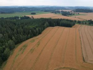 Prodej pole, Blažejov, 17187 m2