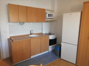 Pronájem bytu 1+kk, Brno, V Újezdech, 25 m2