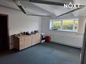 Pronájem bytu 3+1, České Budějovice, U Výstaviště, 130 m2