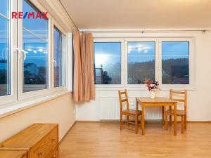 Pronájem bytu 1+kk, Praha - Libeň, Braunerova, 30 m2