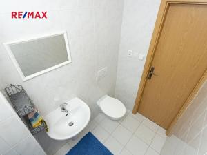 Pronájem bytu 1+kk, Praha - Libeň, Braunerova, 30 m2