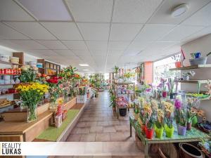 Pronájem obchodního prostoru, Ostrava, 28. října, 113 m2