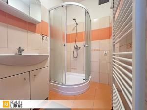 Pronájem bytu 1+1, Ostrava, Alšovo náměstí, 41 m2