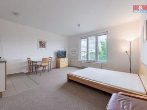 Pronájem bytu 1+kk, Karlovy Vary - Stará Role, Nejdlova, 33 m2