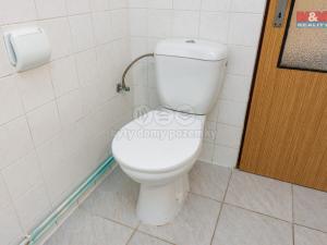 Prodej rodinného domu, Loučná nad Desnou - Rejhotice, 203 m2