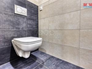 Prodej bytu 2+1, České Budějovice - České Budějovice 3, Staroměstská, 68 m2