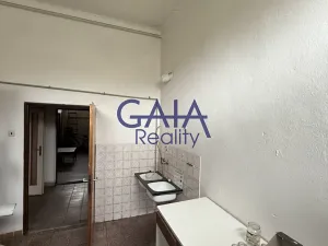 Prodej obchodního prostoru, Dešná, 268 m2
