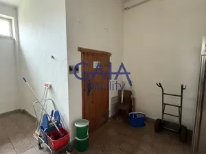 Prodej obchodního prostoru, Dešná, 268 m2