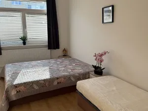Pronájem bytu 1+kk, Plzeň, Nepomucká, 26 m2