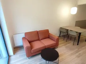 Pronájem bytu 1+kk, Praha - Žižkov, Hartigova, 38 m2