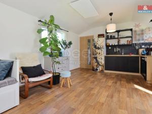 Prodej rodinného domu, Havlíčkův Brod, Dolní Papšíkov, 48 m2