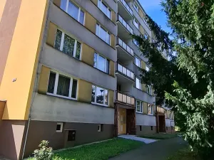 Pronájem bytu 2+1, Přeštice, Husova, 53 m2