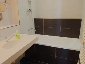Pronájem bytu 3+1, České Budějovice, Jeronýmova, 108 m2
