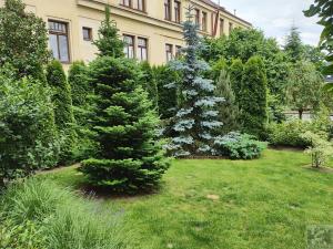 Prodej rodinného domu, Jablonec nad Nisou, Průmyslová, 300 m2