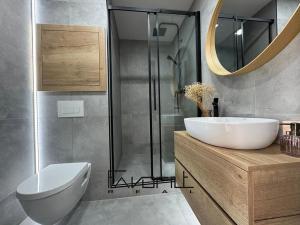 Pronájem bytu 2+1, Ostrava, Ladislava Hosáka, 46 m2