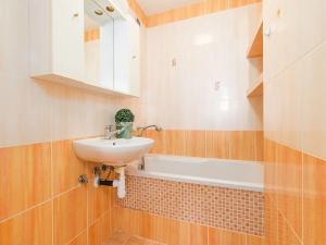 Prodej bytu 2+kk, České Budějovice, Netolická, 41 m2