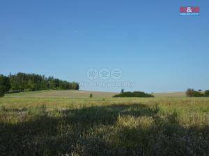Prodej lesa, Rychnovek, 16800 m2