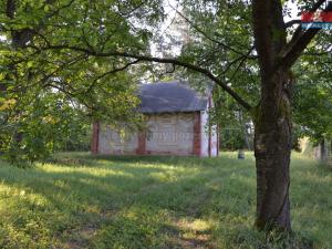 Prodej lesa, Rychnovek, 16800 m2