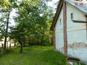 Prodej lesa, Rychnovek, 16800 m2