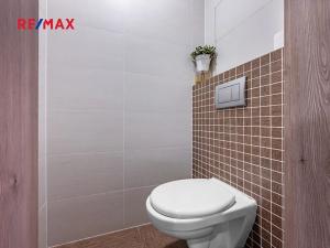 Pronájem bytu 1+kk, Praha - Vršovice, Petrohradská, 29 m2