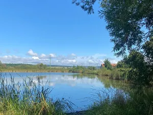 Prodej rodinného domu, Obořiště, 150 m2
