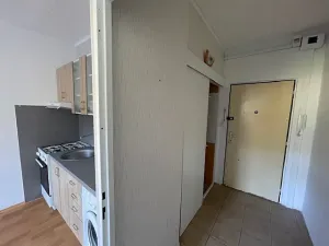 Pronájem bytu 1+1, Ústí nad Labem, Bratří Čapků, 40 m2