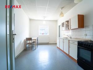 Prodej komerční nemovitosti, Kolín, Havlíčkova, 465 m2
