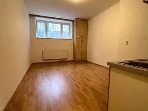 Pronájem bytu 1+kk, Brno, Bayerova, 30 m2