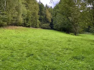 Prodej rodinného domu, Hlavice, 330 m2
