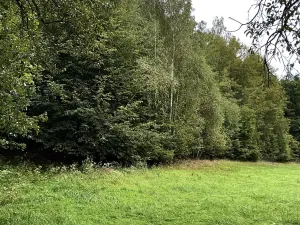 Prodej rodinného domu, Hlavice, 330 m2