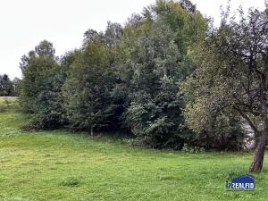 Prodej rodinného domu, Hlavice, 330 m2