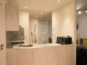Pronájem bytu 1+kk, Hradec Králové - Pražské Předměstí, Hrubínova, 28 m2