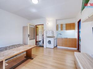 Pronájem bytu 1+kk, Praskolesy, 21 m2