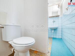 Pronájem bytu 1+kk, Praskolesy, 21 m2