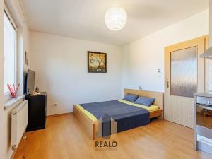 Prodej bytu 1+kk, Říčany, Purkyňova, 28 m2