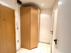 Pronájem bytu 1+kk, Praha - Chodov, Brodského, 30 m2
