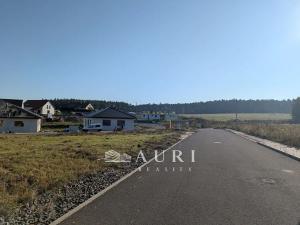 Prodej pozemku pro bydlení, Olešná, 1130 m2
