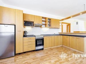 Pronájem rodinného domu, Doloplazy, 264 m2
