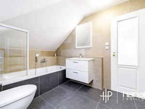 Pronájem rodinného domu, Doloplazy, 264 m2