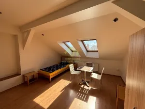 Pronájem bytu 1+kk, Plzeň, Lindauerova, 26 m2