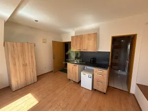 Pronájem bytu 1+kk, Plzeň, Lindauerova, 26 m2