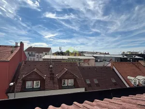 Pronájem bytu 1+kk, Plzeň, Lindauerova, 26 m2