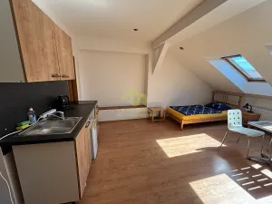 Pronájem bytu 1+kk, Plzeň, Lindauerova, 26 m2