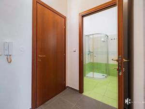 Pronájem bytu 2+kk, Praha - Žižkov, Kubelíkova, 55 m2