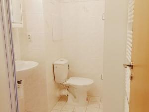 Pronájem bytu 1+kk, Opatovice nad Labem, Smetanova, 42 m2