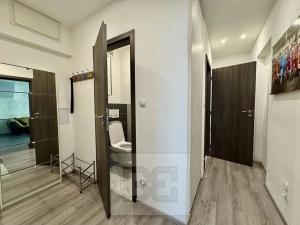 Pronájem bytu 3+kk, Brno, Renneská třída, 66 m2