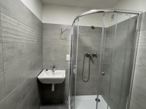 Pronájem bytu 1+kk, Louny, Husova, 38 m2